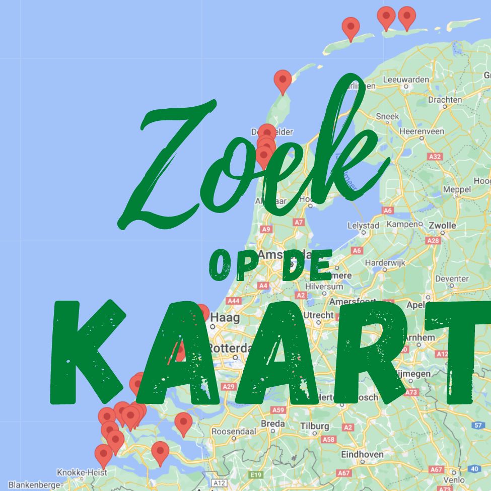 Karakteriseren kans Sluimeren Glamping aan zee Nederland | Safaritent Nederlandse kust huren
